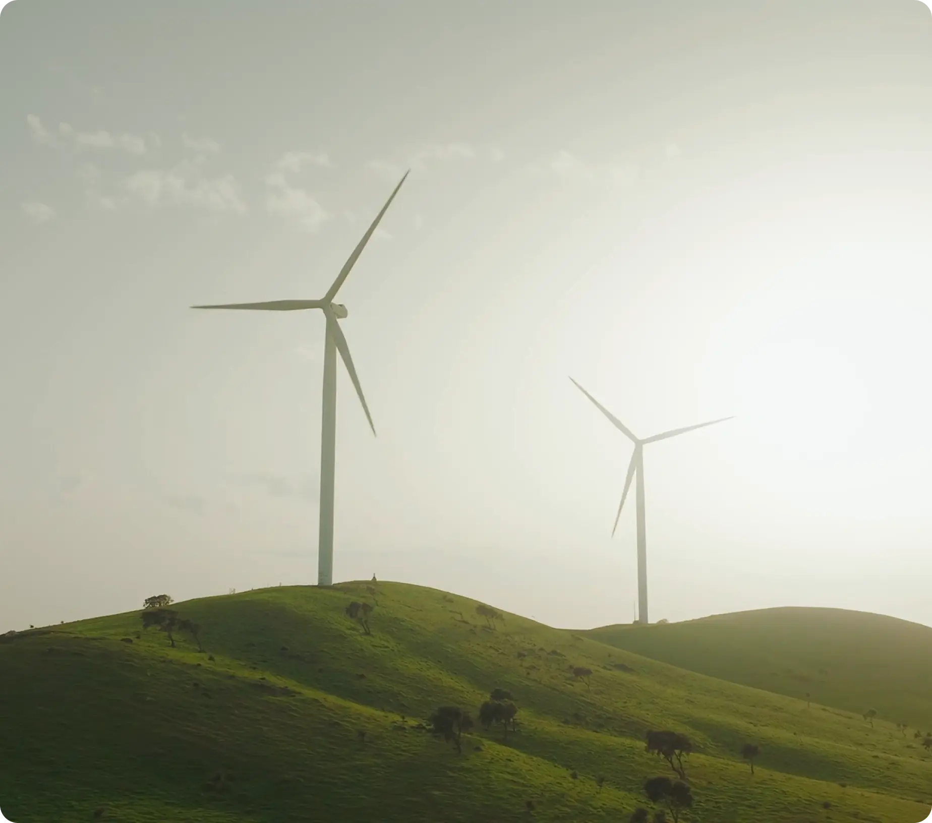 <p>Acción<em> medioambiental</em></p>
